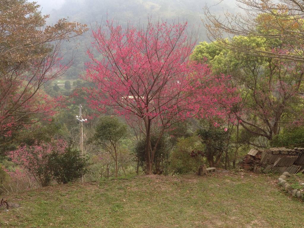 牛奶森林 柏竺山莊bozhu Villa Sanyi Exterior foto